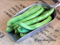 Picture of Broad Beans 