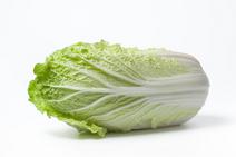 Picture of Chinese Cabbage ORGANIC