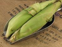 Picture of Sweetcorn ORGANIC