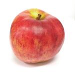 Picture of Scrumptious Apples ORGANIC