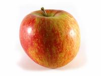 Picture of Elstar Apples ORGANIC