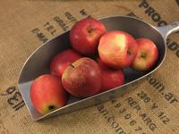 Picture of Spartan Apples ORGANIC