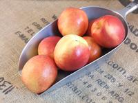 Picture of Nectarine ORGANIC