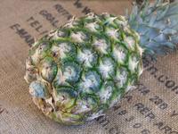 Picture of Pineapple ORGANIC