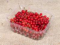 Picture of Redcurrants ORGANIC