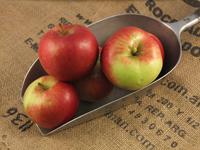 Picture of Santana Apples ORGANIC
