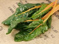 Picture of Swiss Chard UK ORGANIC