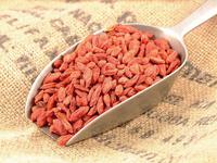 Picture of Goji Berries ORGANIC