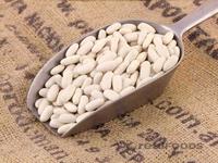 Picture of White Kidney Cannellini Beans ORGANIC