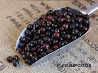 Picture of Blackcurrants ORGANIC