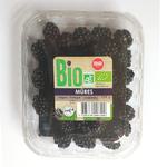 Picture of Blackberries ORGANIC