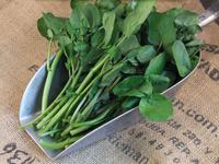 Picture of Watercress UK ORGANIC