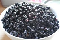 Picture of Brambles 