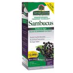 Picture of Black Elderberry Supplement Sambucus 