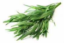 Picture of Fresh Tarragon 