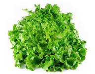 Picture of Lollo Biondi Lettuce ORGANIC