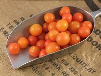 Picture of Cherry Tomatoes UK ORGANIC