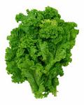 Picture of Mustard Leaves ORGANIC