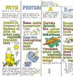 Picture of Original Nutrition Wallchart 
