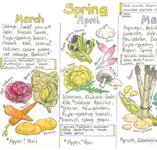 Picture of Seasonal Fruit & Vegetable Wallchart 