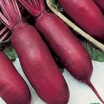 Picture of Cylindra Beetroot UK ORGANIC
