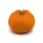 Picture of Pumpkin Small ORGANIC