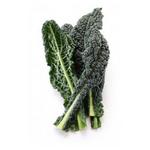 Picture of Cavolo Nero 