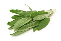 Picture of Fresh Sage ORGANIC