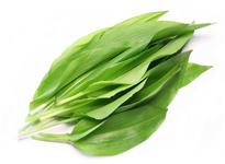 Picture of Wild Garlic Leaves Scotland ORGANIC