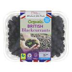 Picture of  Frozen Blackcurrants British ORGANIC