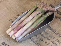 Picture of Asparagus ORGANIC