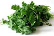 Picture of Fresh Coriander 