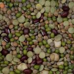 Picture of Bean Mix Sprouting ORGANIC
