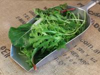 Picture of Salad with Herbs ORGANIC