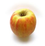 Picture of Cripps Pink Apples ORGANIC