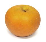 Picture of Russet Apples ORGANIC