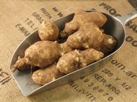 Picture of Jerusalem Artichoke ORGANIC