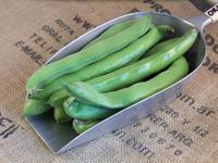 Picture of Broad Beans ORGANIC
