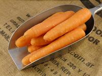 Picture of Carrots ORGANIC