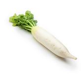 Picture of Daikon White 