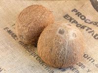 Picture of Coconut ORGANIC