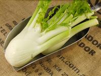 Picture of Fennel Bulb ORGANIC