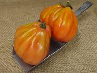Picture of Coeur de Boeuf Tomatoes ORGANIC