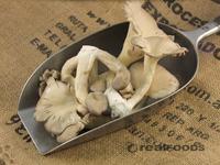 Picture of Oyster Mushrooms ORGANIC