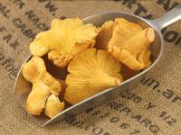 Picture of Wild Girolle Mushrooms 