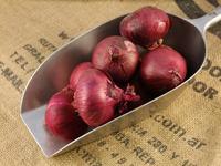 Picture of Red Onions ORGANIC
