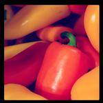 Picture of Pepper Tri Colore Mini ORGANIC
