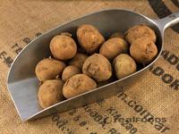 Picture of New Potato ORGANIC
