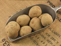 Picture of Potato Robinta ORGANIC