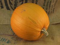 Picture of Pumpkin ORGANIC